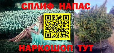 ПСИЛОЦИБИНОВЫЕ ГРИБЫ Нальчик